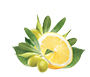 Citron & Olivové lístky